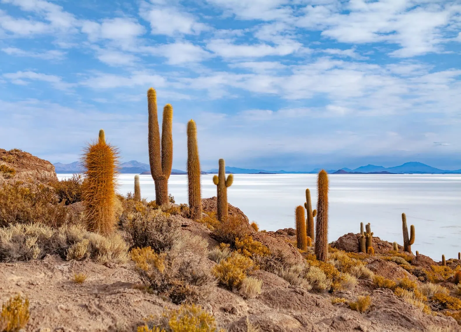 uyuni_incahuasi