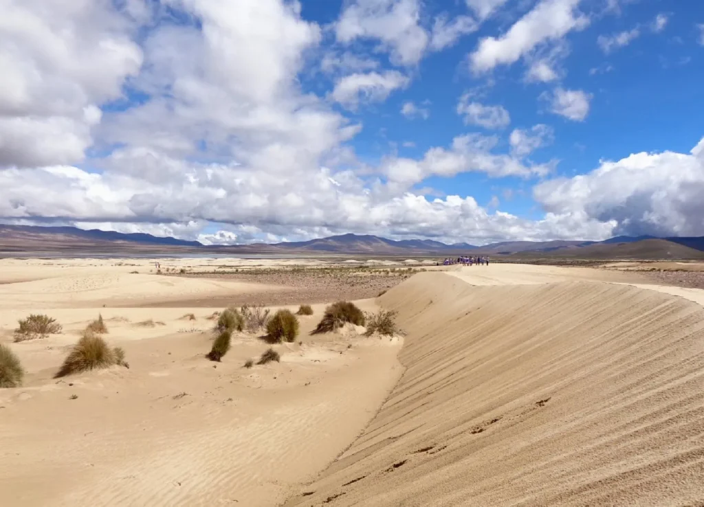 dunas
